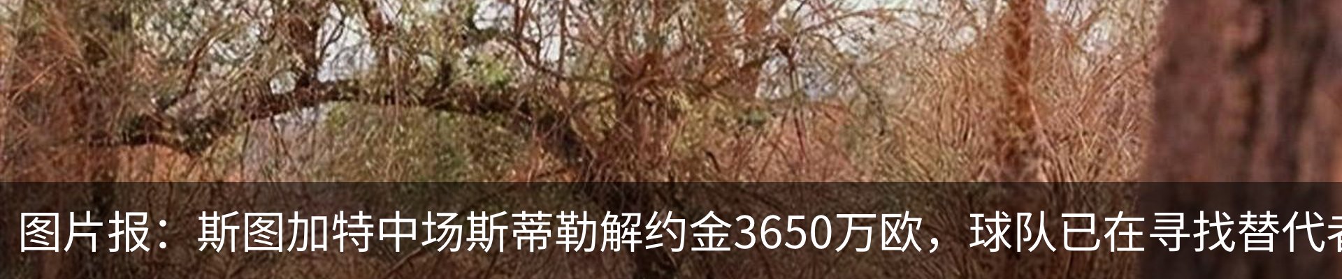 热点资讯